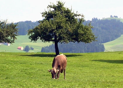 Appenzell en Suisse