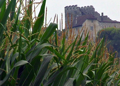 Le château des Habsbourg