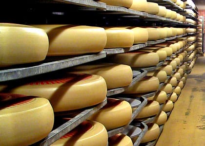 Le fromage suisse Emmental