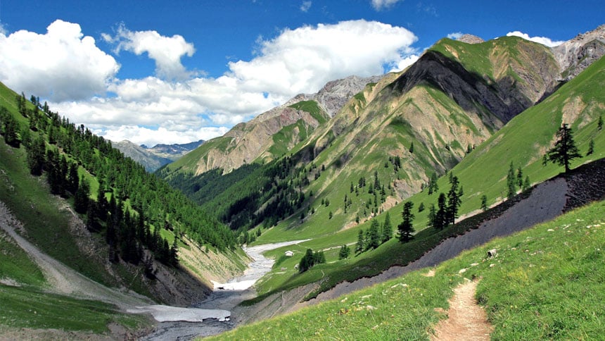 Le Parc national suisse